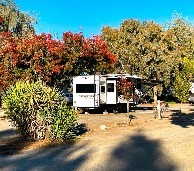 RV space with colorful trees and landscaped planting beds