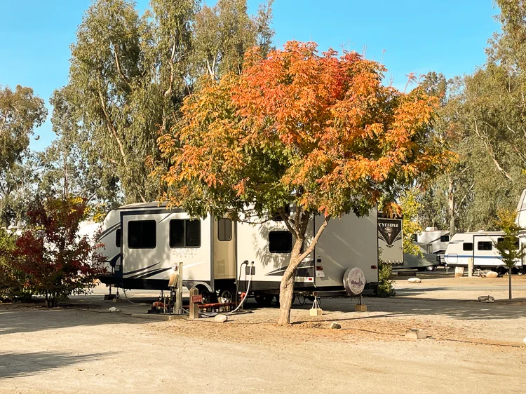 RV parked beside mature trees with autumn foliage