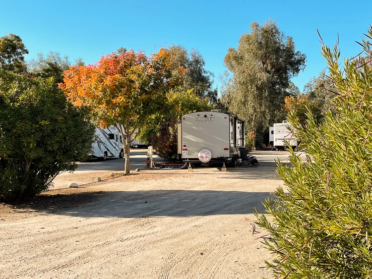 Spacious RV sites among mature trees and shrubs