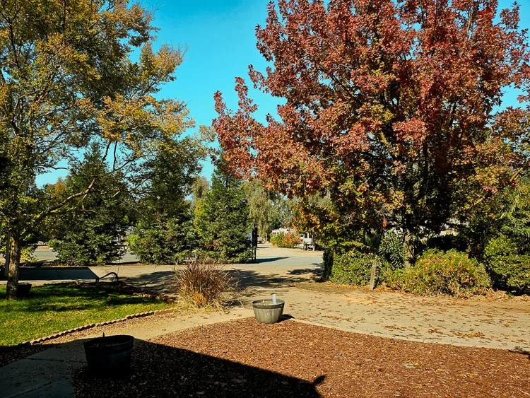 Green lawn, mature trees, and a picnic table on the park grounds