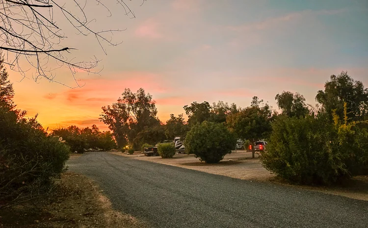 Orange sunset over the trees and roadway at Deer Creek